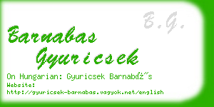 barnabas gyuricsek business card